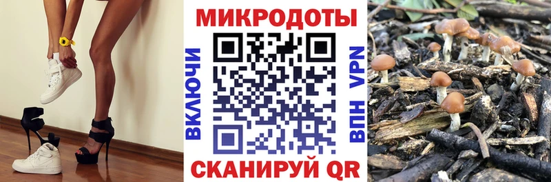 Псилоцибиновые грибы GOLDEN TEACHER  МЕГА tor  Красноуфимск 